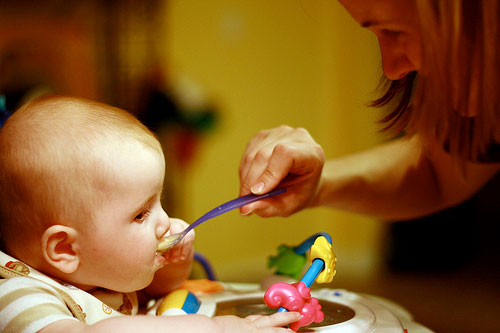herbal-baby-food.jpg